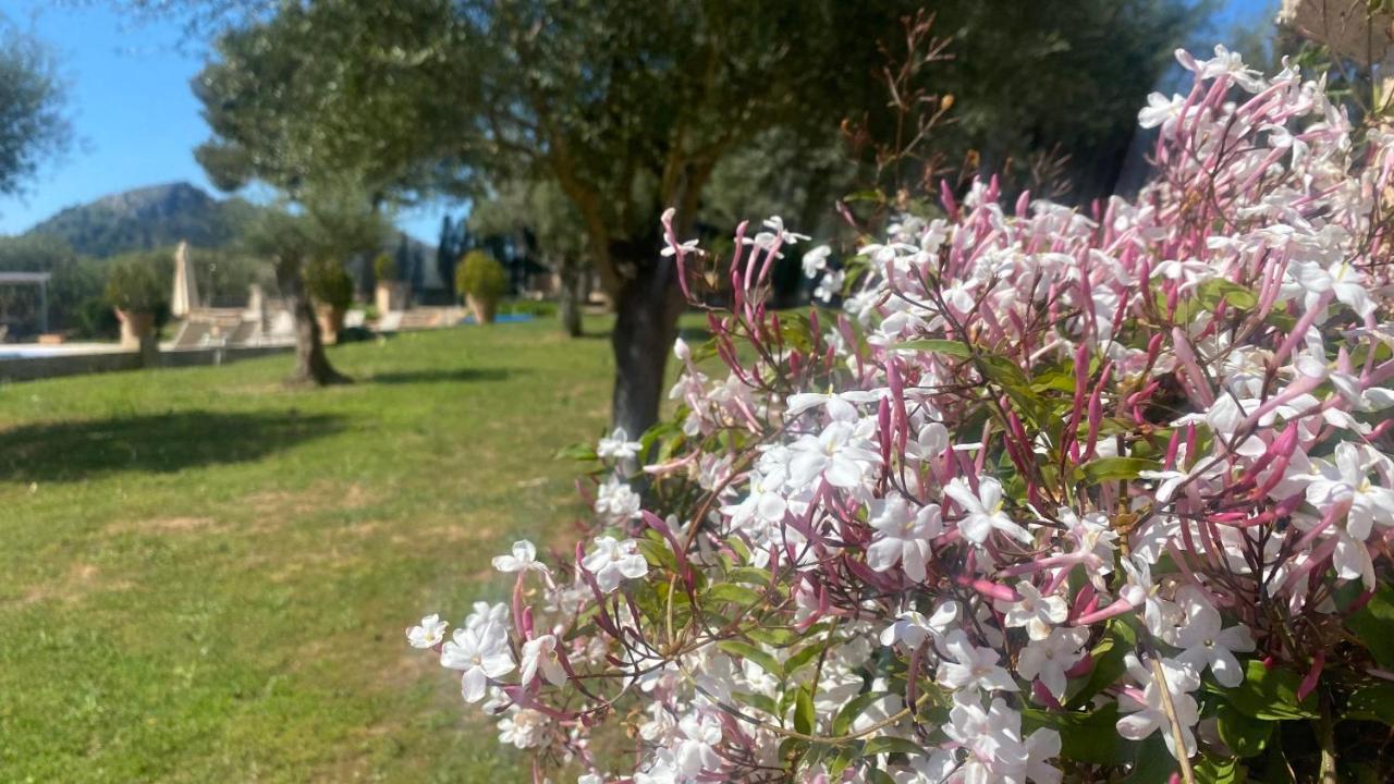 Agroturisme Son Cardaix Artá Εξωτερικό φωτογραφία